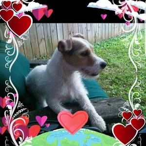 Meet your Posher, Trudy